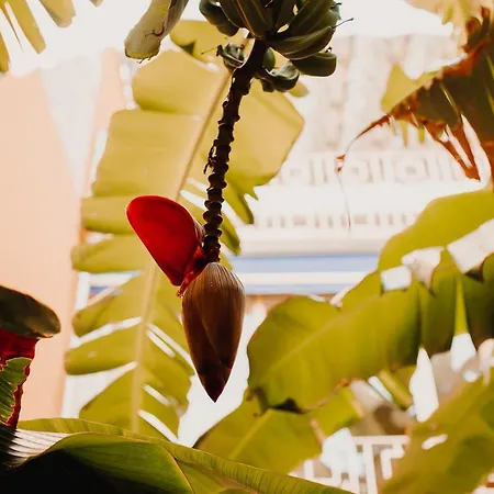 Casa vacanze La Casona House *